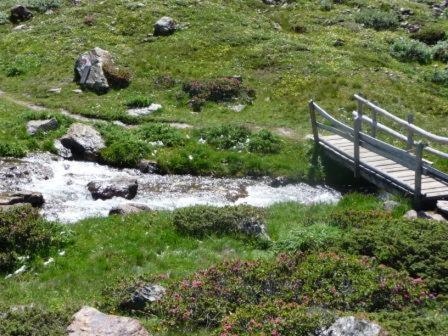 Alpenrose Aparthotel Martell Exteriör bild